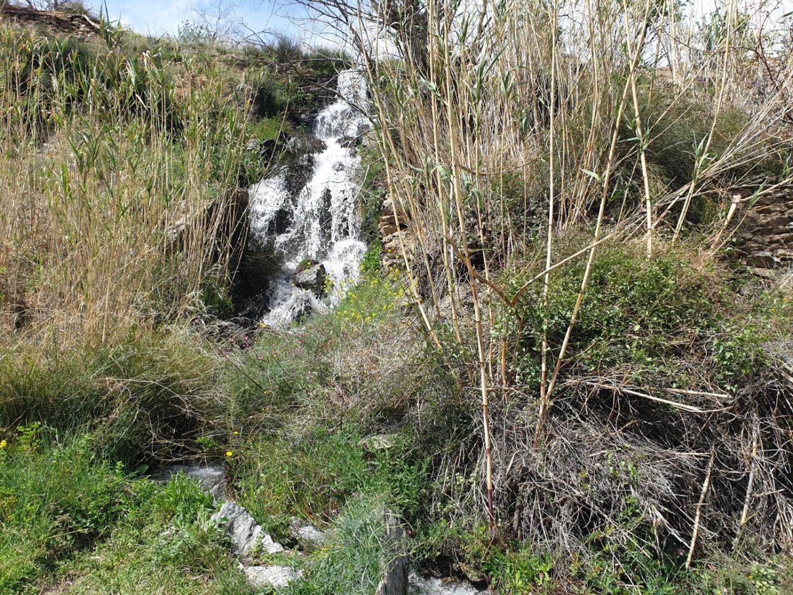 Casa Rural Serrano Abrucena Buitenkant foto